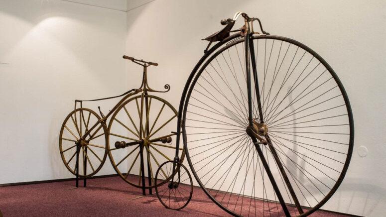 Kostotresac Petra Lukšića