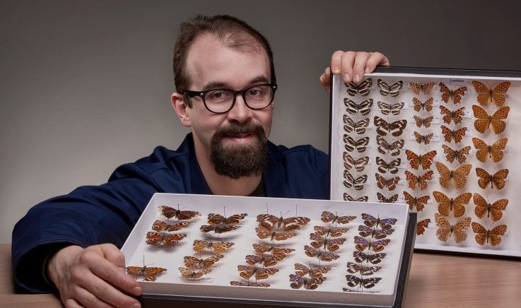 Danji leptiri entomološke zbirke GMK-a